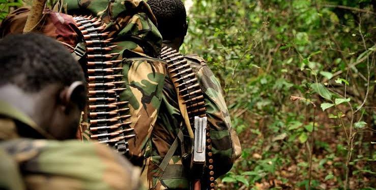 Attaque des ADF à Irumu : un activiste des droits humains encourage à la résistance