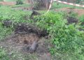 Rutshuru : deux enfants tués et trois blessés dans des explosions de mines abandonnées