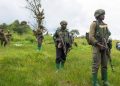 Rutshuru : de nouveaux combats entre le M23 et les Wazalendo signalés à Bukombo