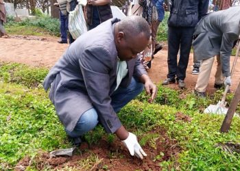 Butembo : appel à la culture du reboisement pour préserver l’environnement