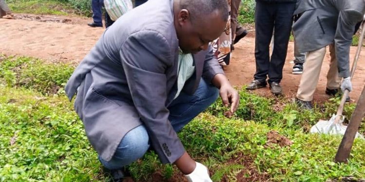 Butembo : appel à la culture du reboisement pour préserver l’environnement