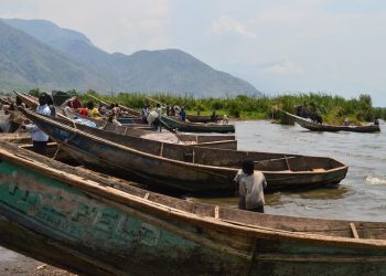 Nord-Kivu : le BEIE alerte sur la dégradation des zones de frayère dans plusieurs pêcheries du lac Édouard