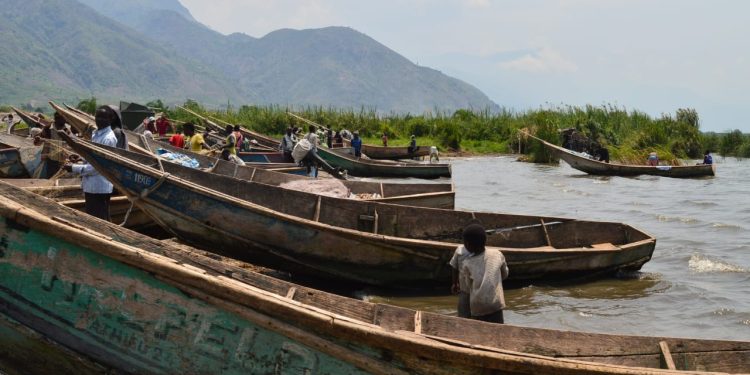 Nord-Kivu : le BEIE alerte sur la dégradation des zones de frayère dans plusieurs pêcheries du lac Édouard