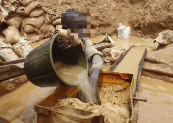 Mambasa : la CRDH dénonce l’utilisation des enfants dans les carrés miniers