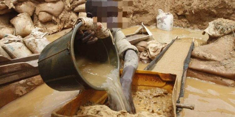 Mambasa : la CRDH dénonce l’utilisation des enfants dans les carrés miniers