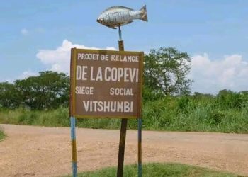 Rutshuru : un véhicule en provenance de Butembo attaqué par des bandits sur l’axe Rwindi-Vithsumbi