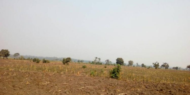 Rutshuru : rareté des espaces cultivables, les habitants appelés à valoriser les petits espaces restants