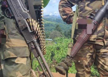 Ituri : des Wazalendo accusés d’exactions graves contre les populations civiles à Mambasa