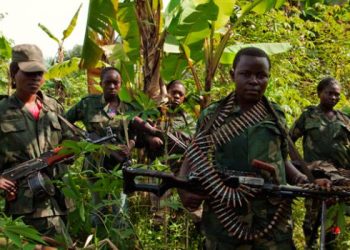 Haut-Lomami : des éléments Maï-Maï Zoulou attaquent une position des FARDC à Bukama