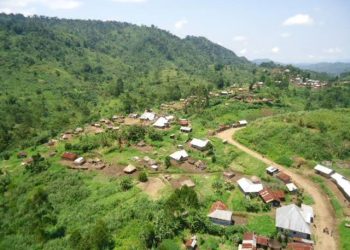 Walikale : le chef du village Burutsi assassiné par des hommes armés