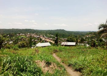 Beni : découverte d’un corps d’une femme à Kahamba (Malio)