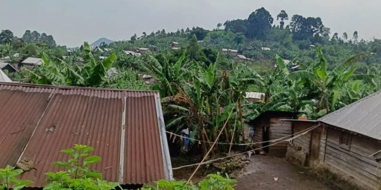 Rutshuru : plus de quatre civils tués près de Rumangabo après avoir pénétré une zone interdite par l’AFC-M23