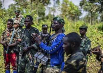 Butembo : le REDHO recommande la formation des Wazalendo aux droits humains et au droit international humanitaire