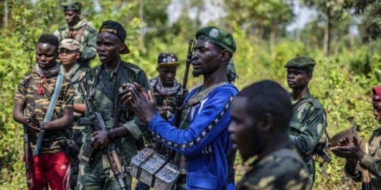 Butembo : le REDHO recommande la formation des Wazalendo aux droits humains et au droit international humanitaire