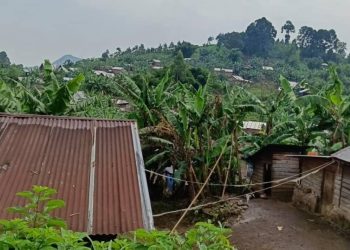 Rutshuru : retour au calme dans 4 villages de Bwito après des combats entre l’AFC-M23 et les Wazalendo 