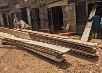 Butembo : l’insécurité persistante affecte l’approvisionnement en planches sur le marché