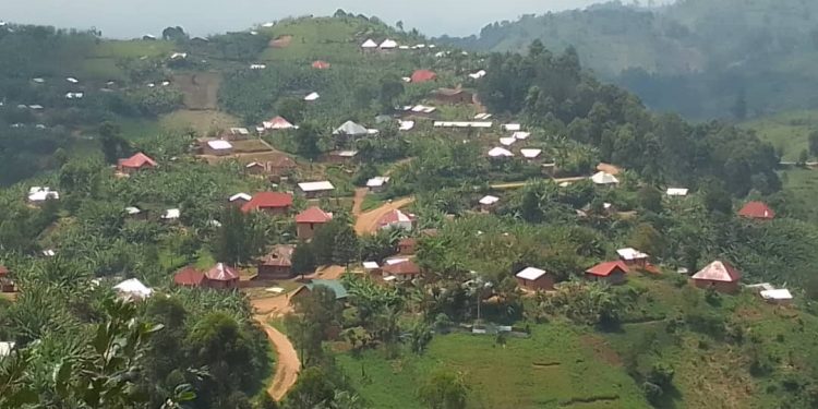 Rutshuru : deux directeurs d’école et trois enseignants enlevés par des bandits à Busanza