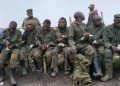 Sud-Kivu : nouvelle reddition de combattants de l’AFC/M23 et de Twirwaneho aux FARDC