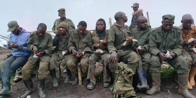 Sud-Kivu : nouvelle reddition de combattants de l’AFC/M23 et de Twirwaneho aux FARDC