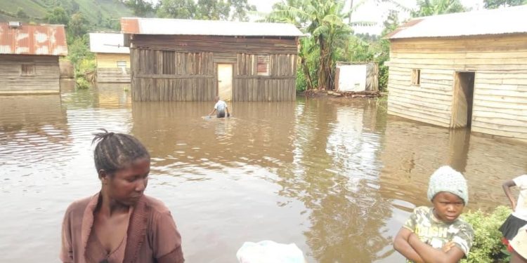Rutshuru : les eaux provenant du mont Mikeno envahissent les champs de Gisiza