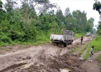 Rutshuru : l’APROCIDE plaide pour la réhabilitation des axes routiers Kako-Ntamugenga et Ntamugenga-Matebe