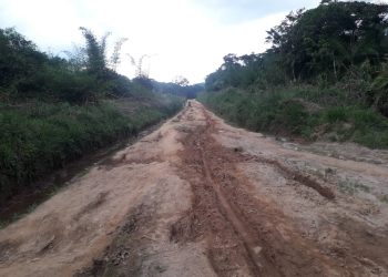 Walikale : l’impraticabilité de l’axe Kibua-Mungazi à la base de nombreux cas d’accidents