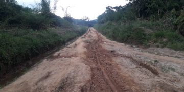 Walikale : l’impraticabilité de l’axe Kibua-Mungazi à la base de nombreux cas d’accidents