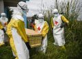 RDC : le CPRJ prévient contre d’éventuels abus et cas d’exploitation sexuelle dans la riposte à Ebola