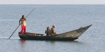 Rutshuru : un pêcheur sauvé de justesse après une attaque de crocodile du Nil sur le lac Édouard