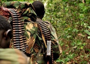 Mambasa : une attaque ADF fait plusieurs morts à Biakato 