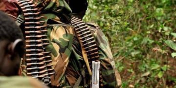Mambasa : une attaque ADF fait plusieurs morts à Biakato 