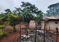 Beni : le BCNUDH condamne le massacre de civils Mbuti à Ngadi