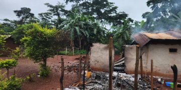 Beni : le BCNUDH condamne le massacre de civils Mbuti à Ngadi