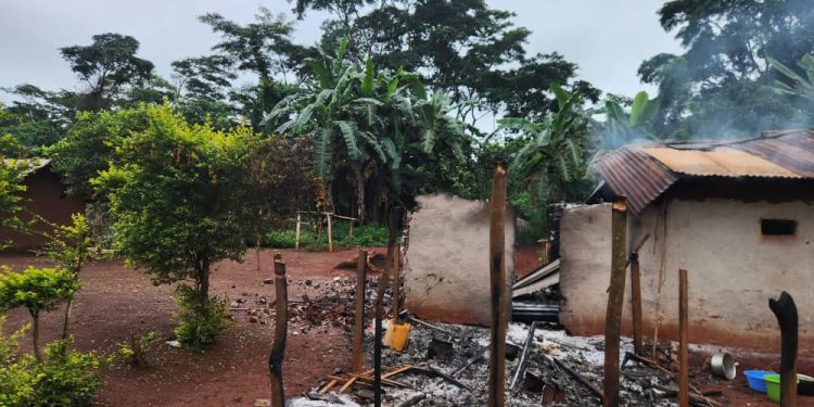 Beni : le BCNUDH condamne le massacre de civils Mbuti à Ngadi