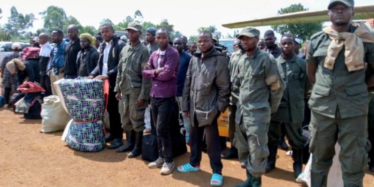 Nord-Kivu : 204 combattants de l’AFC-M23 se sont rendus aux FARDC en avril et mai